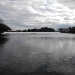 大安トラウトレイク釣果